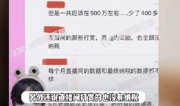 舒畅爆料偷税漏税视频,视频曝光行业乱象