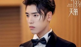 娱乐大爆料王凯和王子异,娱乐大爆料揭秘幕后故事